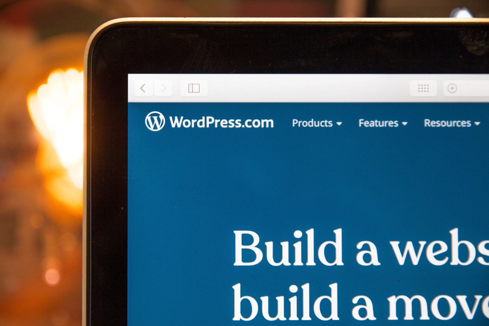 WordPress 404 Error with Advanced Custom Fields Plugin